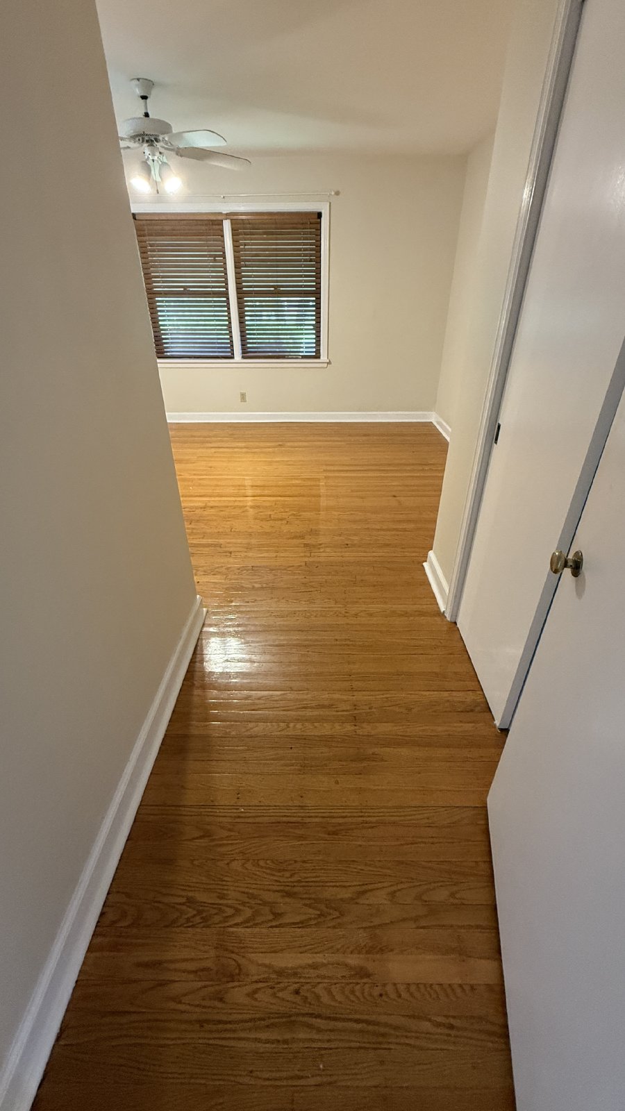 3bd 2ba home in the Bowman Field area property image