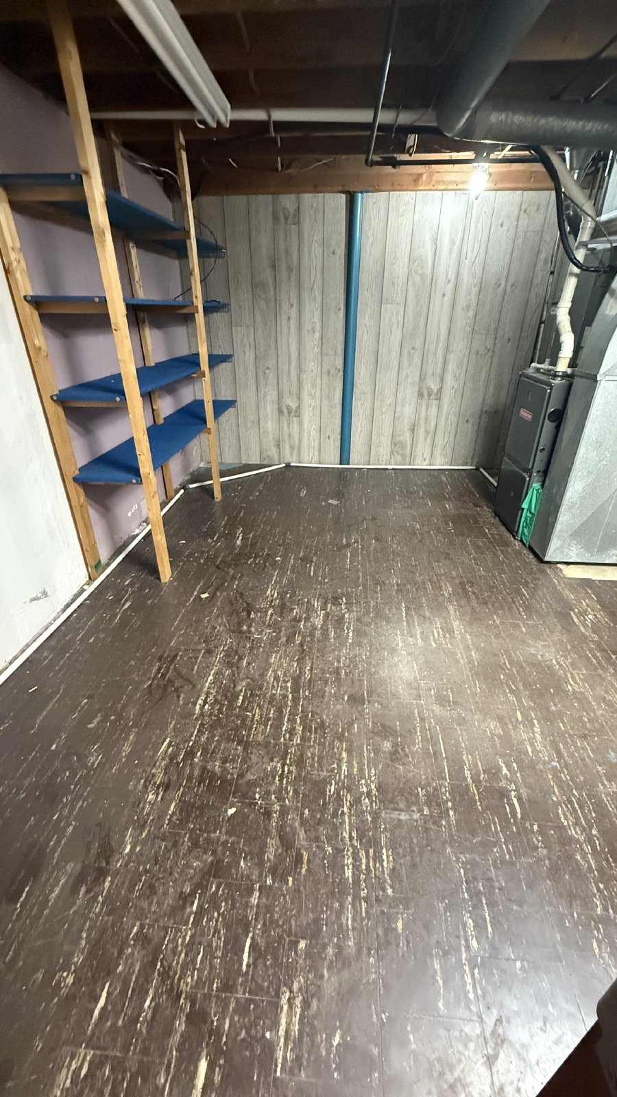 3bd 2ba home in the Bowman Field area property image