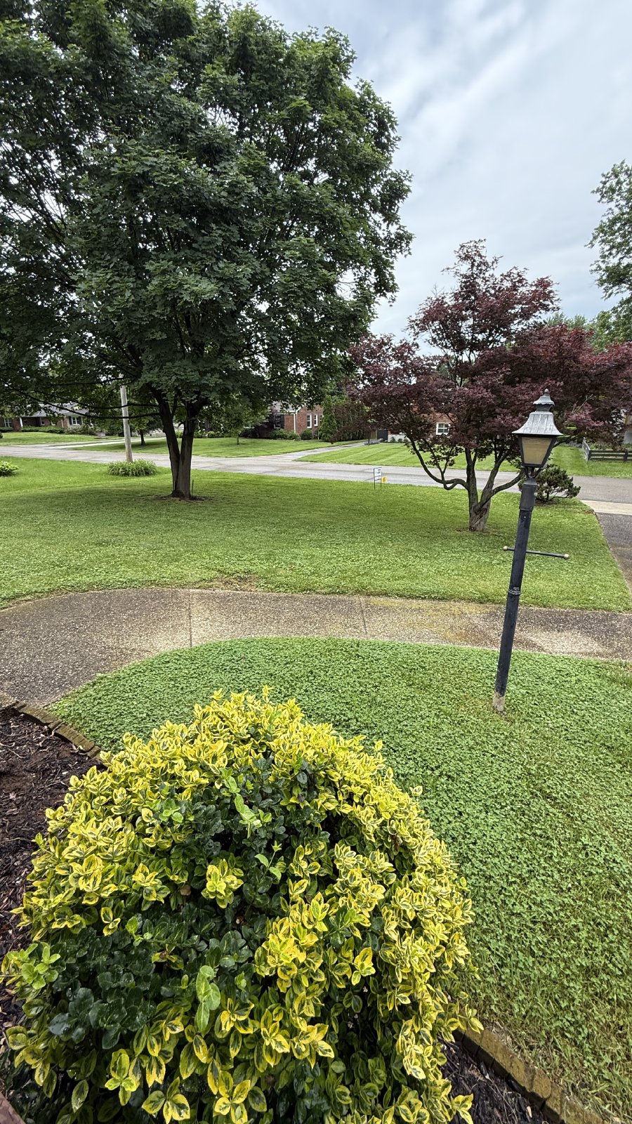 3bd 2ba home in the Bowman Field area property image